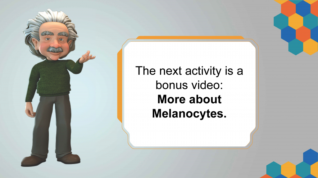 Unit 2.05 :  More about Melanocytes